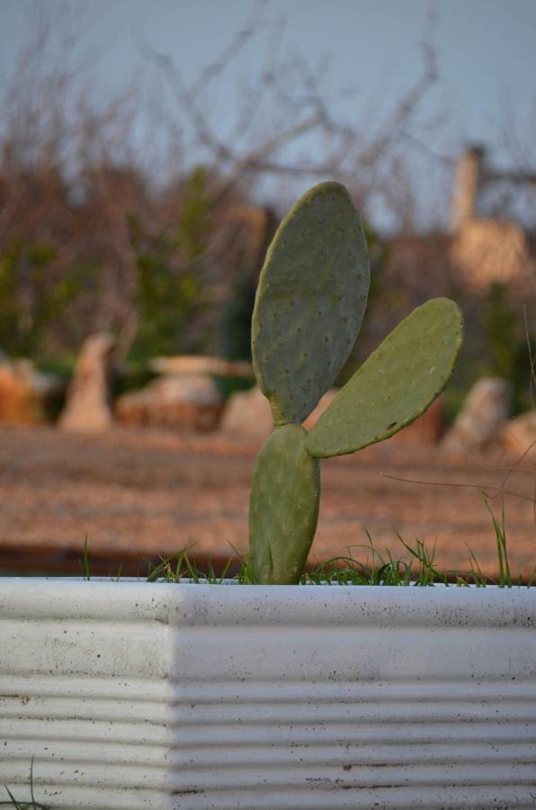 Masseria Poli Country House Conversano Ngoại thất bức ảnh